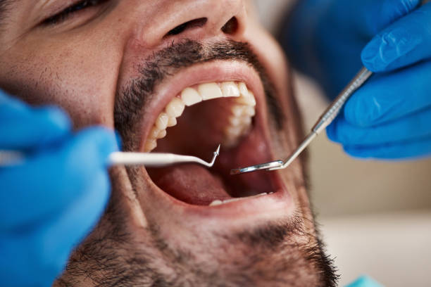 Best Walk-In Dentist Near Me  in Charlotte Park, FL